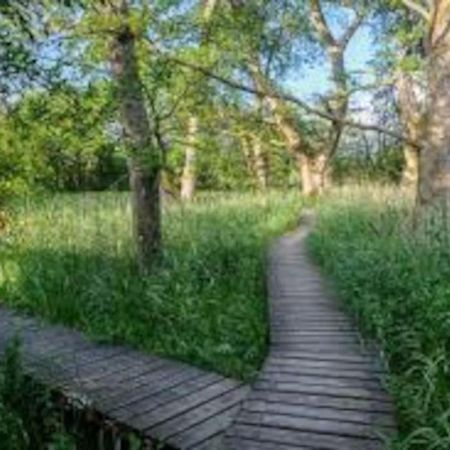 Courtyard Cottage Локерби Экстерьер фото